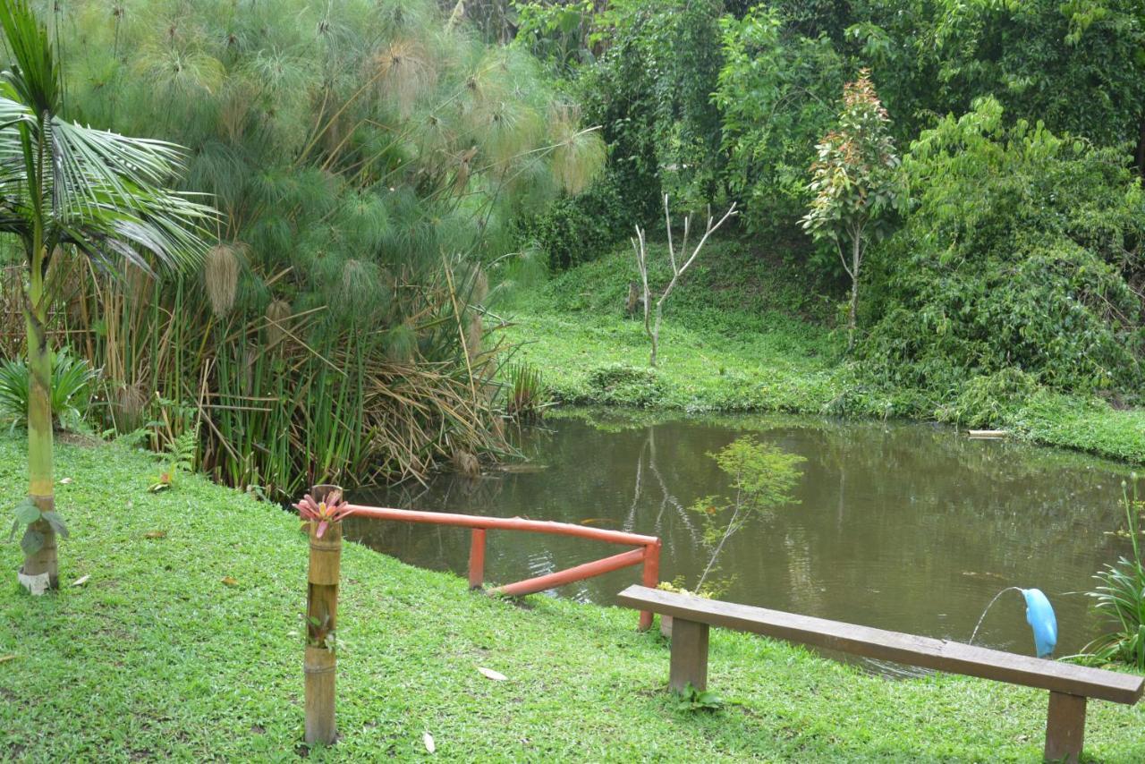 Sitio E Pousada Recanto Dos Ipes เตเรซอโปลิส ภายนอก รูปภาพ